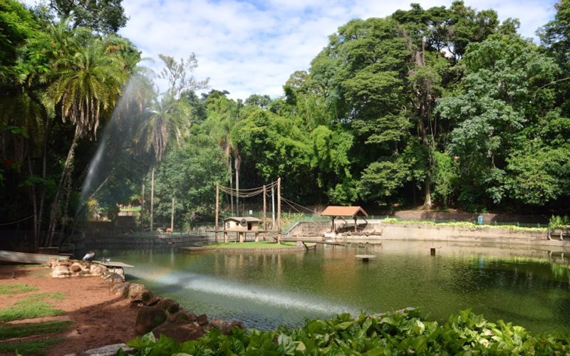 Parque Bosque dos Jequitibás em Campinas (SP)